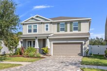 11824 Frost Aster Dr, Riverview, FL, 33579 - MLS T3447142